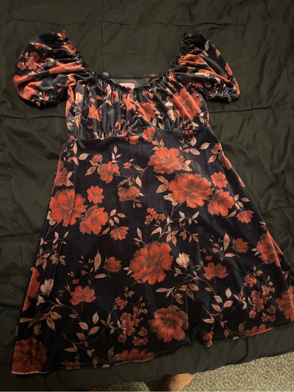 Francesca's Collections Navy Dress with Red Floral Print